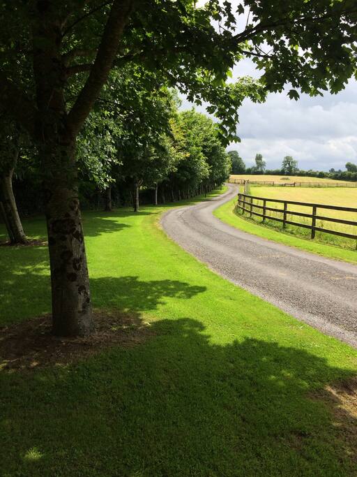 Driveway