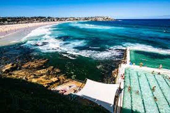 Bondi Beach, New Year in Sydney! Or Relax/Explore gallery image 3