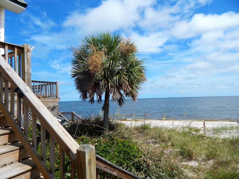 Boardwalk,Deck,Path,Sidewalk,Walkway