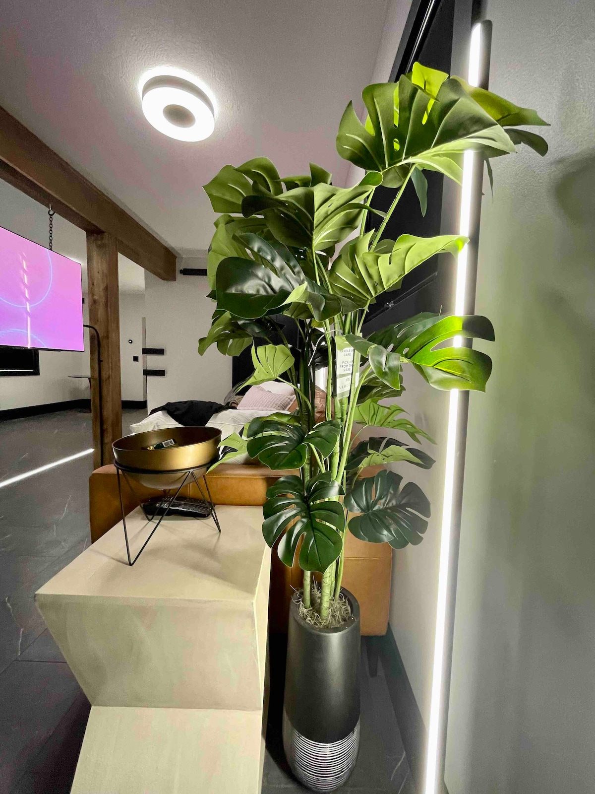 A large, leafy plant is positioned next to a modern sofa, bringing life to the space. A sleek light fixture hangs from the ceiling, and a small, stylish table is placed nearby, accentuating the contemporary design elements.