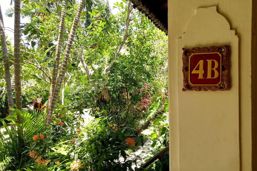 Blick in den tropischen Garten