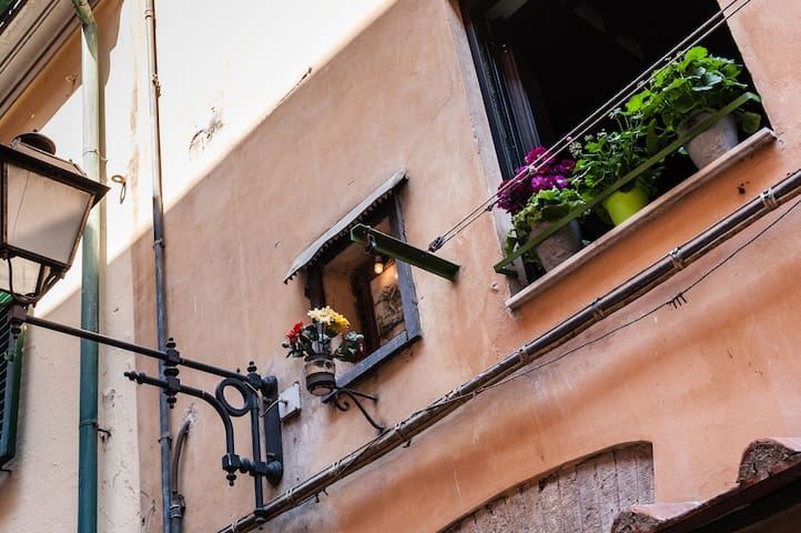 Casa d'Orsola - the heart of Pisa