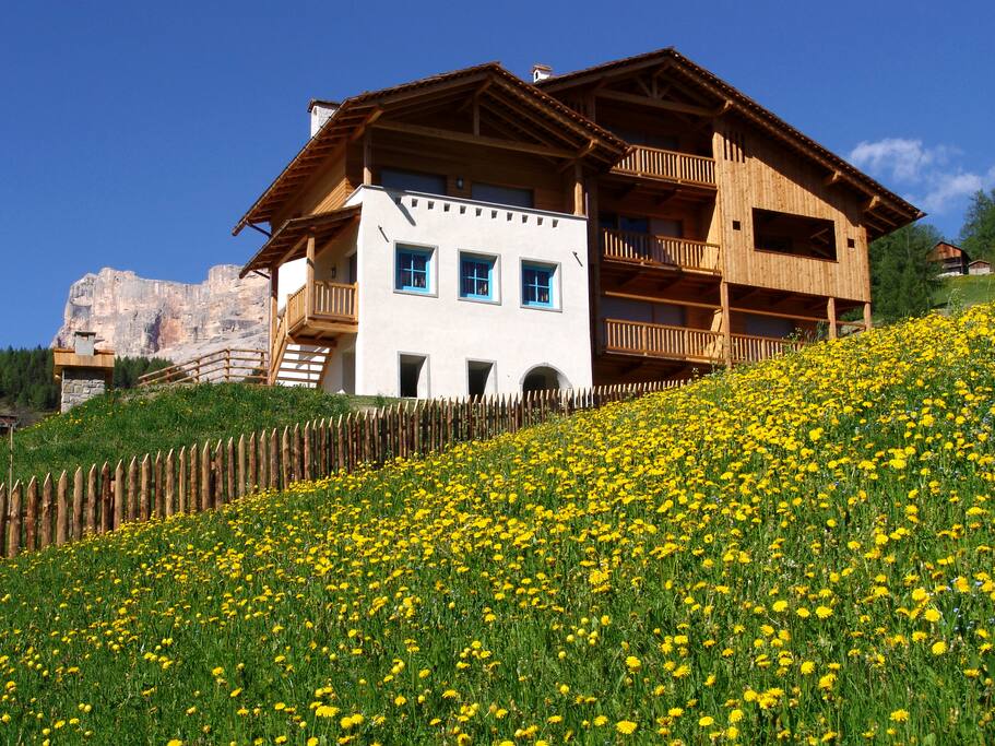 App. Serghela primavera