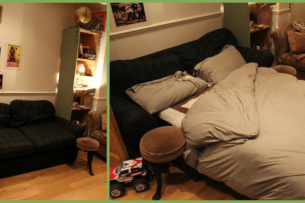 Living room's Sofa bed