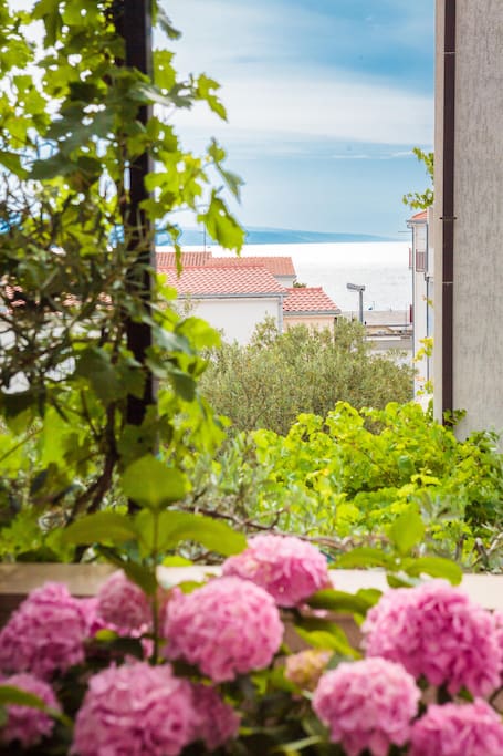Sea view