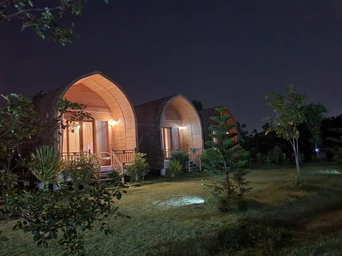 Two uniquely shaped structures with curved roofs are set amidst a lush garden at night. Warm lights illuminate the porches, enhancing the tranquil environment. Various plants and trees are visible, contributing to the sense of peace and natural beauty.