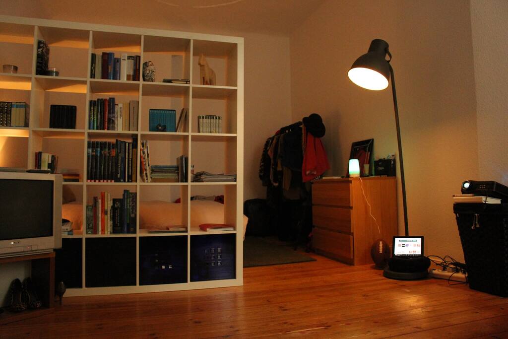 open plan living room/bedroom