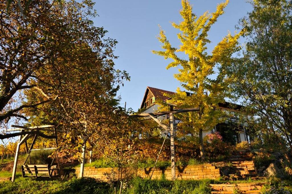 Haus und Garten | House and garden