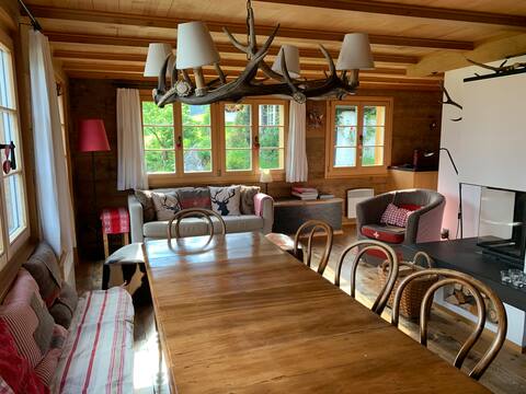 Cozy chalet in car free village