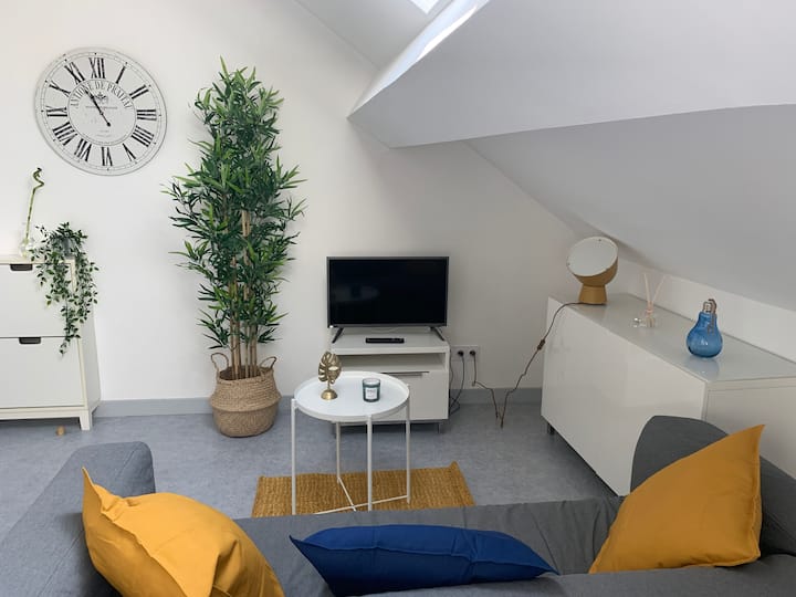 Hector, nice studio in downtown Apartments for Rent in Reims, Grand