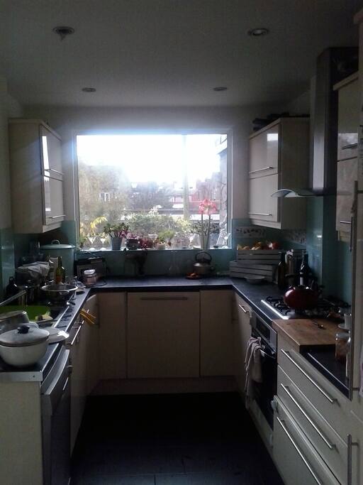 Big-windowed kitchen looking out onto garden/patio