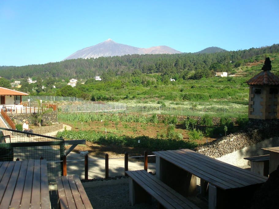 Panorámica del Teide desde Eco House Chinyero