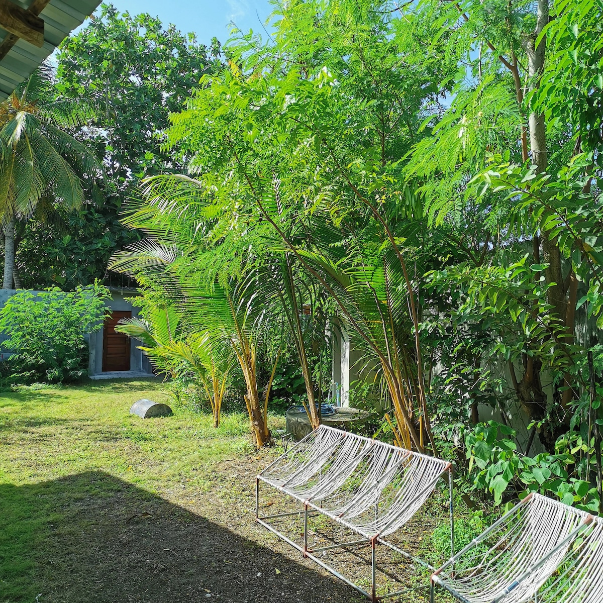 A serene garden area is depicted, featuring lush greenery with a variety of plants and trees. Two metal lounge chairs are positioned on a grassy patch, inviting relaxation amidst the natural surroundings. Sunlight filters through the leaves, creating a calm and peaceful atmosphere.