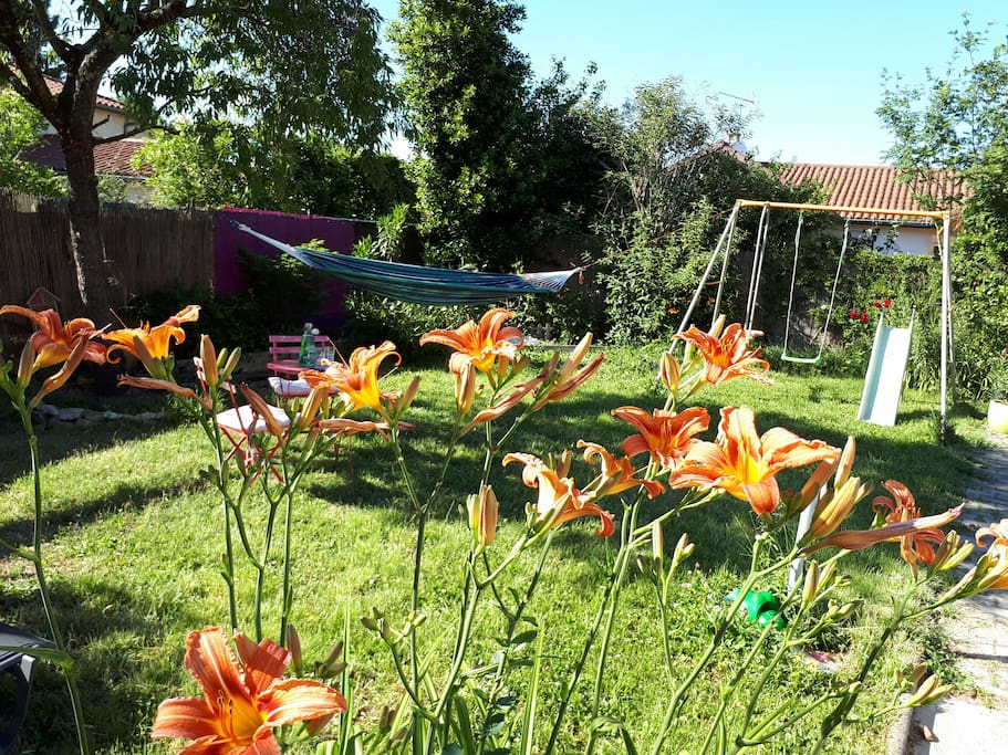 Jardin au calme avec hamacs, transats, table de ping pong, balançoire ...