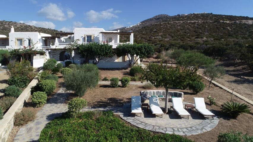 Luxury Beachfront Villa gallery image 3