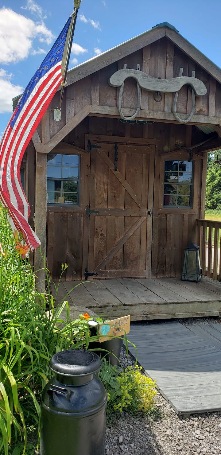 Lucky Day Valley Cabin on 30 acre private estate Tiny houses for Rent in Machias, New York