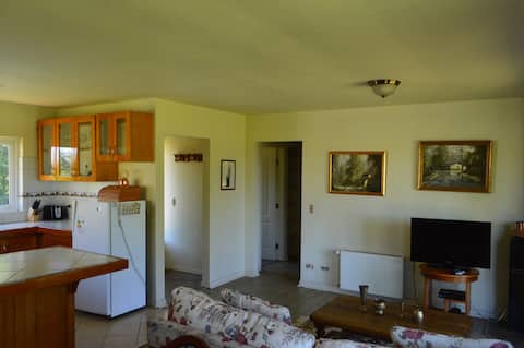 Successful Airbnb property: Guest House with Lake and Volcano View in Llanquihue