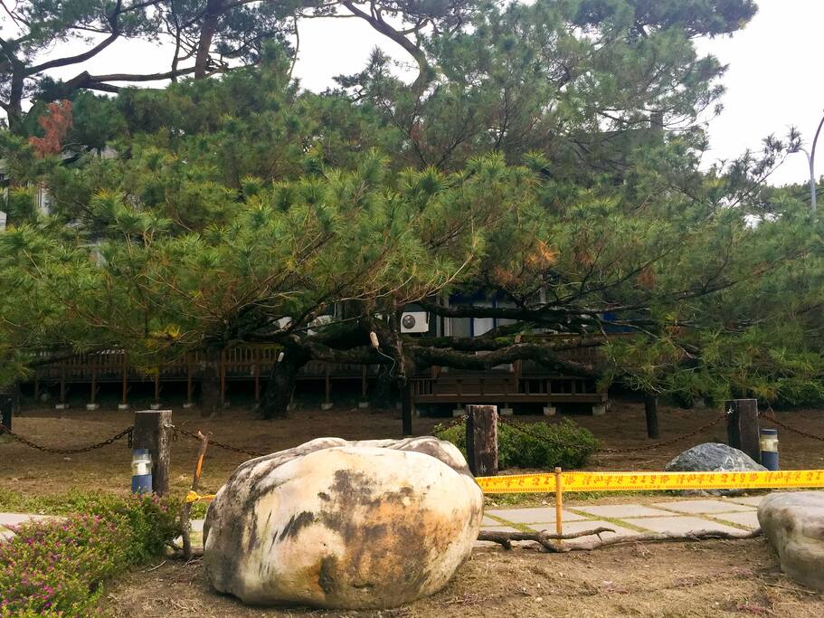 将军府高龄讲解员 介绍家乡最开心 台北旅游攻略 尽在airbnb爱彼迎