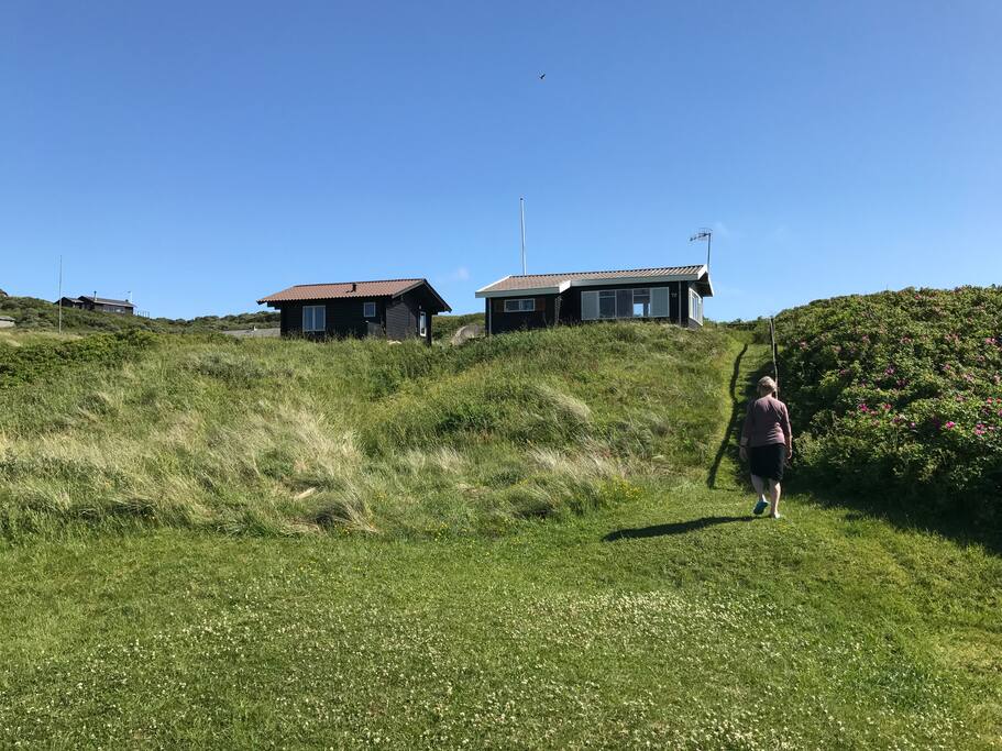 Summerhouse & cabin