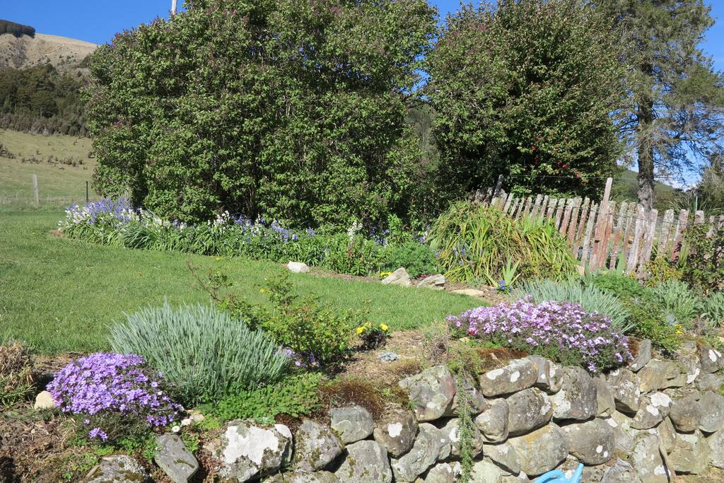 Spring is here and the plants are beautiful In The front garden of Tophouse