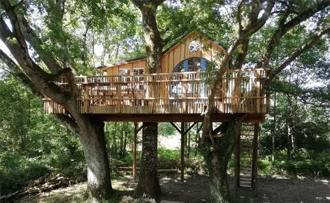 Treehouse