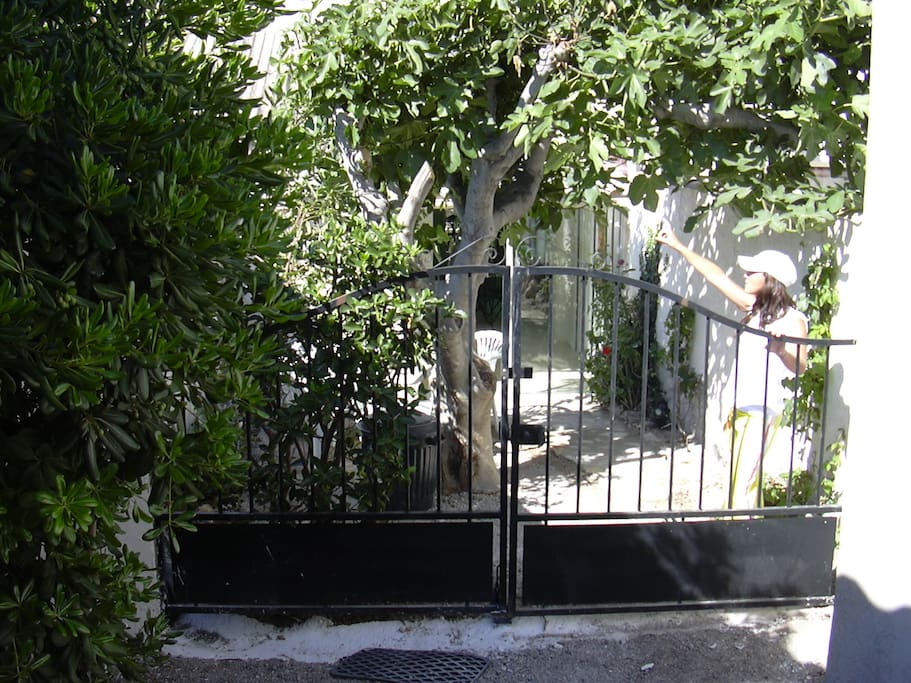 entrée de la maisonnette par le jardinet