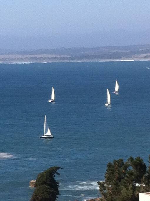 Regata 2