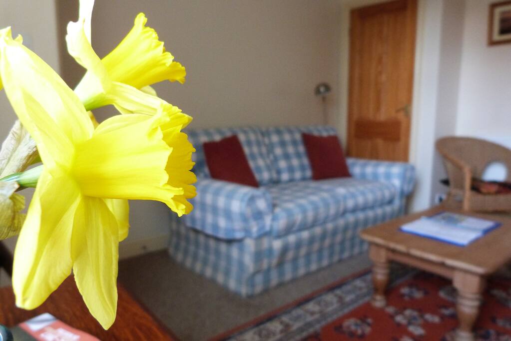 Spring time Daffs