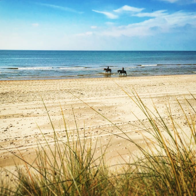 Plage du Touquet à 50m!
