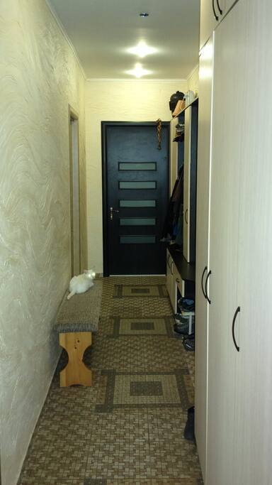 corridor, entrance to a flat