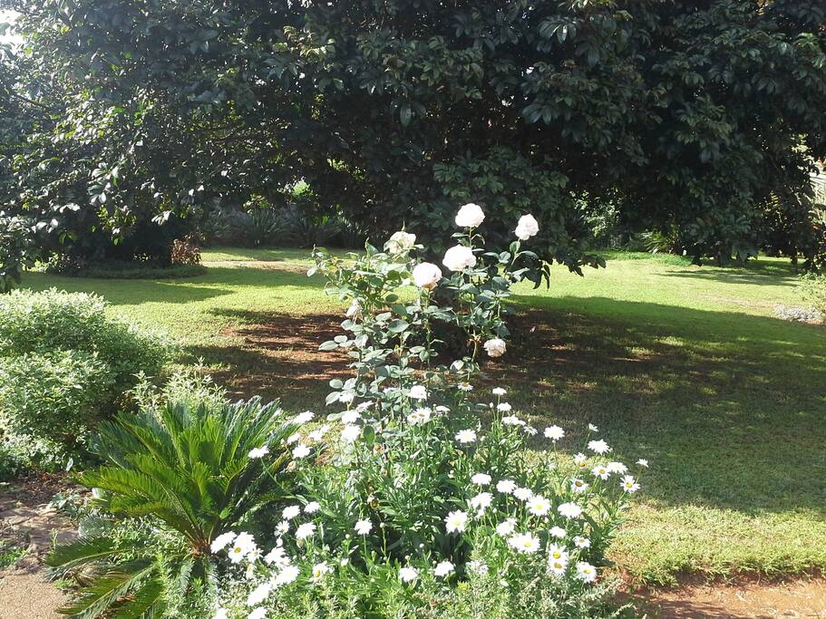 Take a relaxing walk in our garden