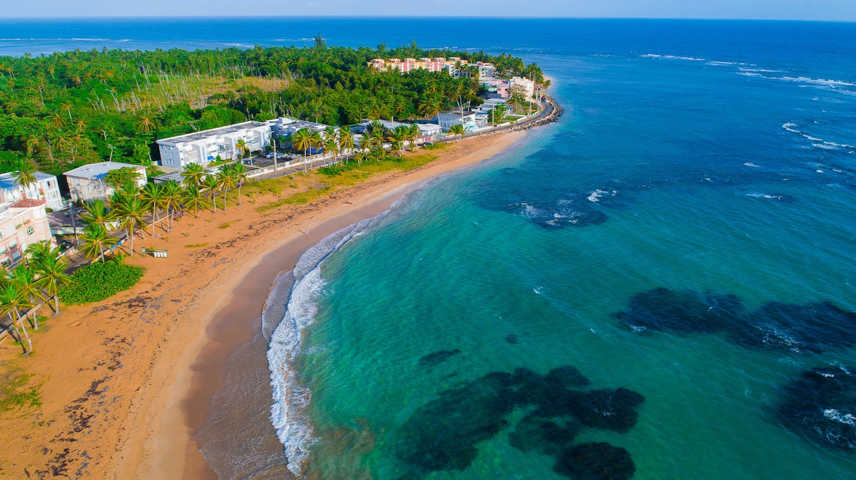 Aerial view of a sandy beach curving along a coastline, bordered by palm trees and waterfront buildings. The clear blue water gently laps at the shore, with patches of darker rocks visible beneath the surface. The horizon showcases a bright sky meeting the sea.