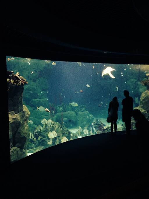 Aquarium near the Barbican