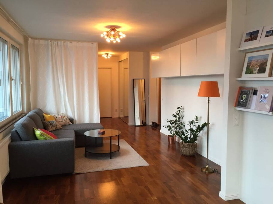 Large pull-out sofa bed, sleeps 2 in living room.