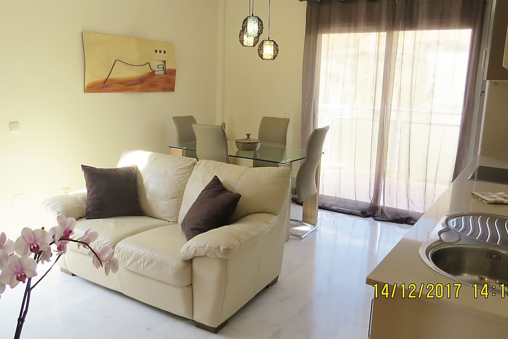Sofa de Piel y salon