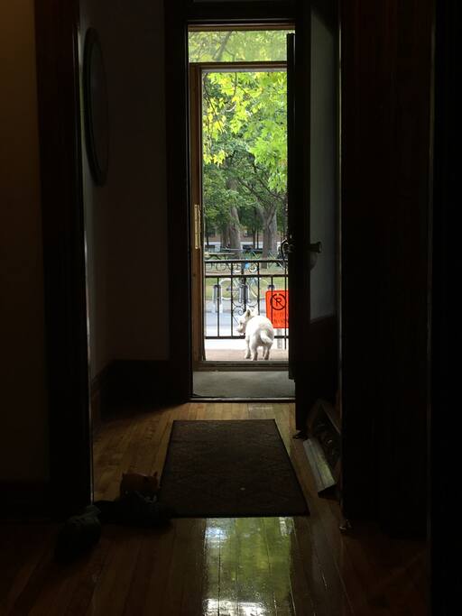 Front door open