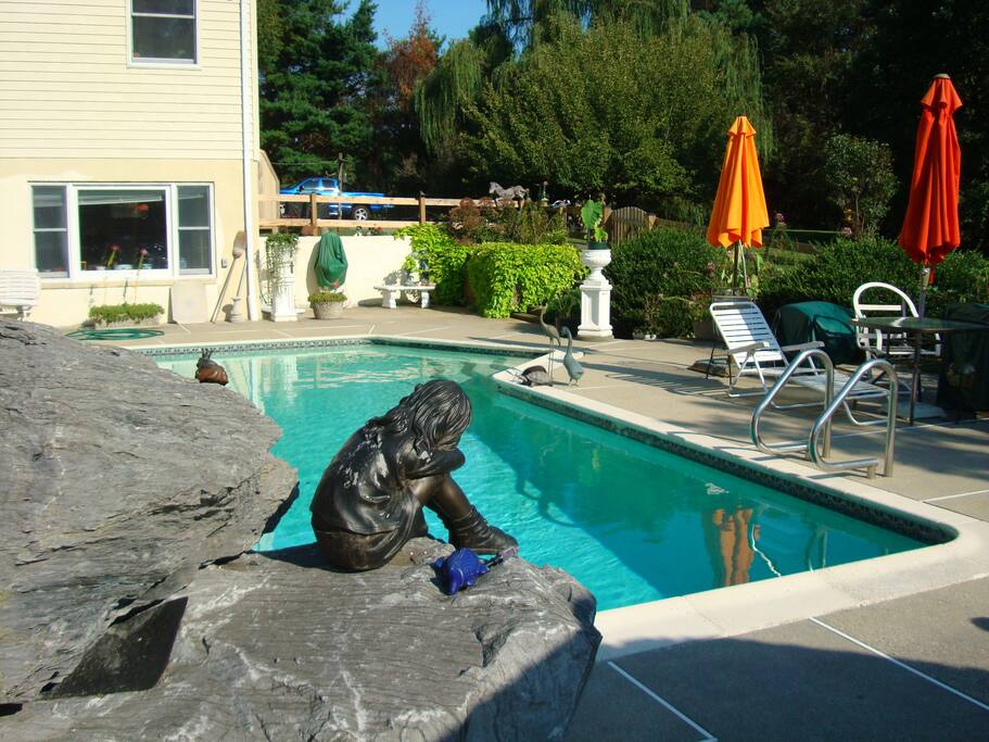 The pool