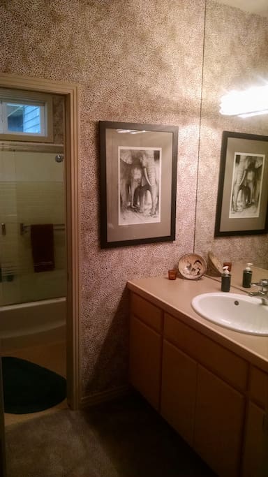 Bathroom with pocket door to shower, toilet
