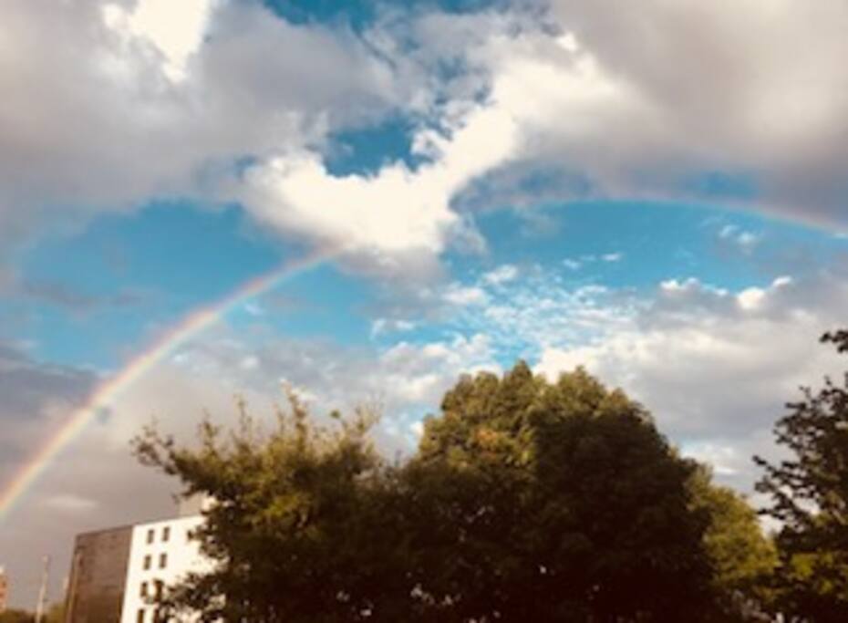 Backyard rainbows