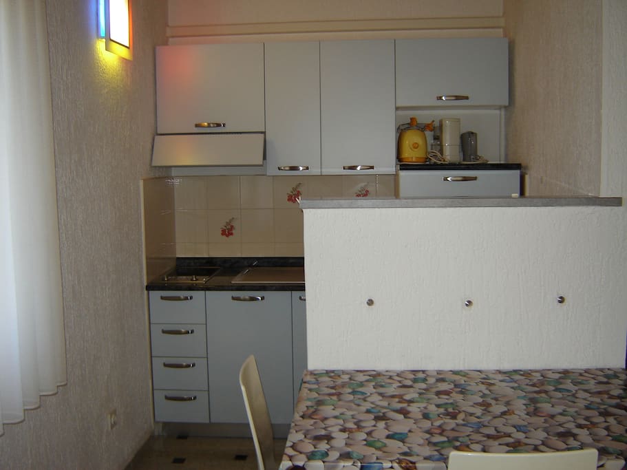 kitchen / dinning room