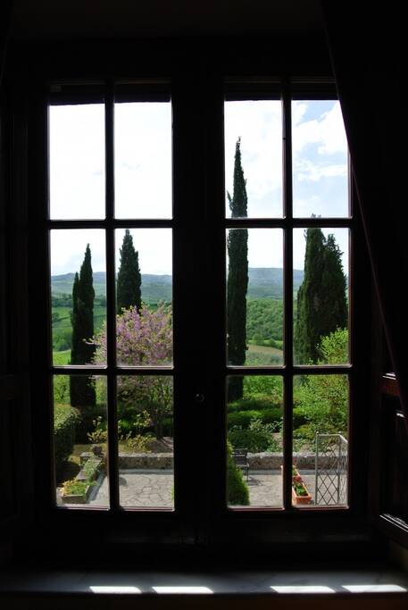Vista