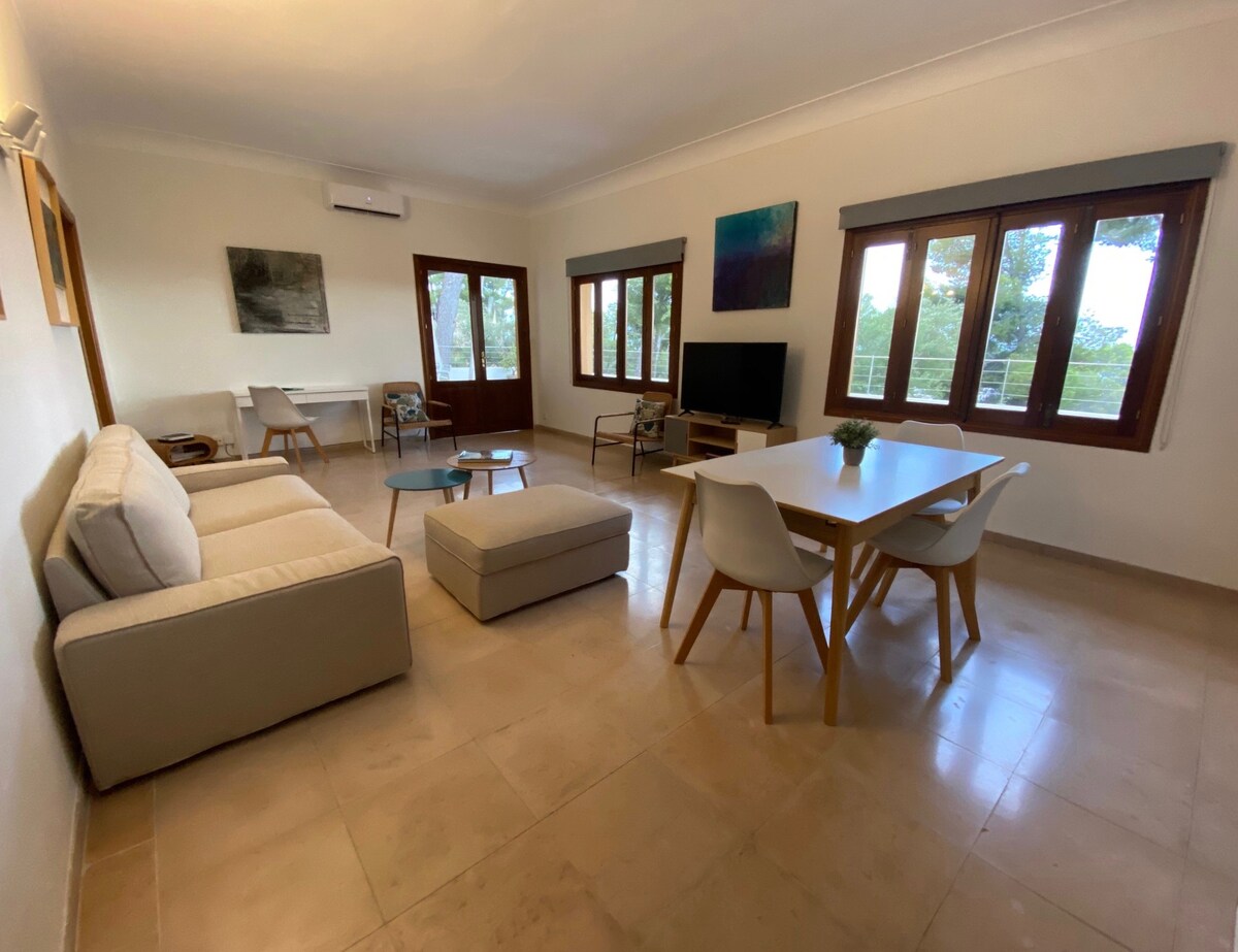 Successful Airbnb property: Ocean views in Portals Nous, very close to Palma in Calvià