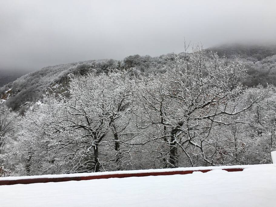 Vista finestra cucina
