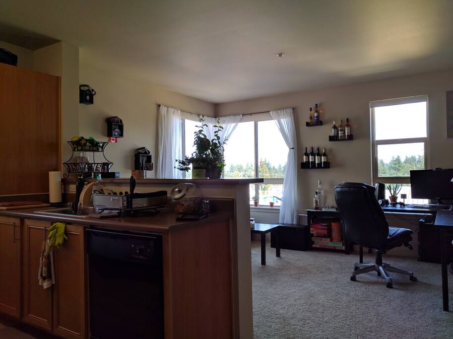 Kitchen and Living Room Area
