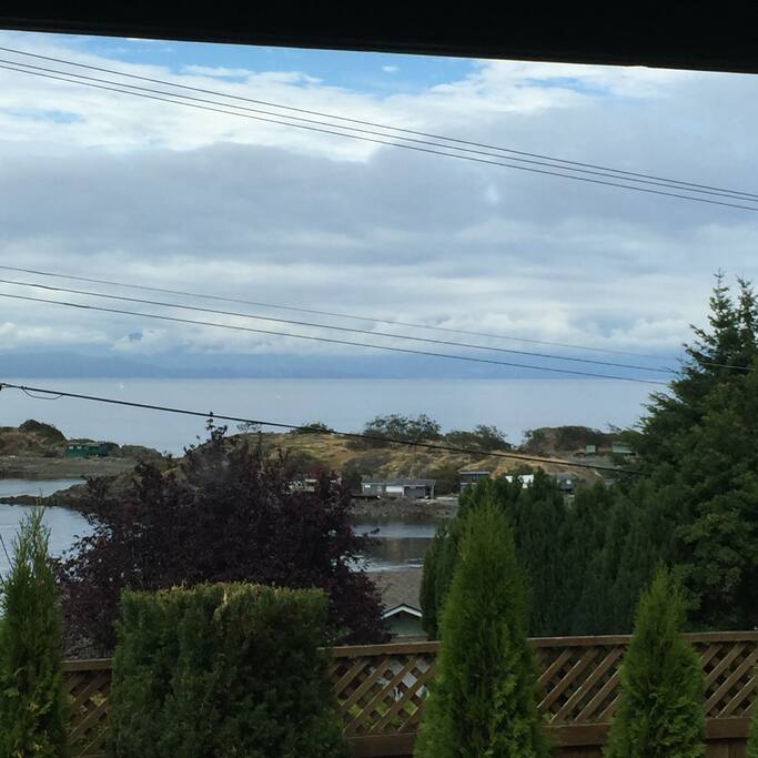 View from your private back yard.