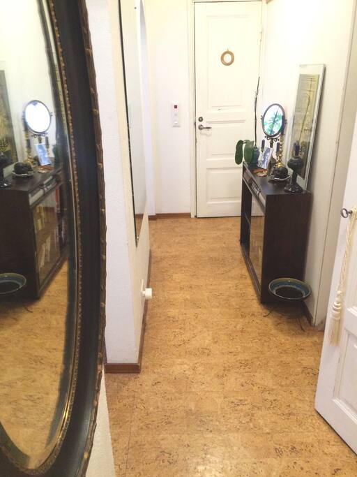 Entry hall to the apartment.