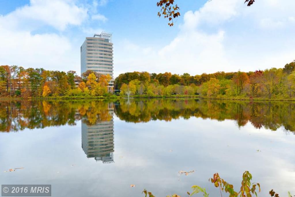 Walk across the street to the beautiful Lake