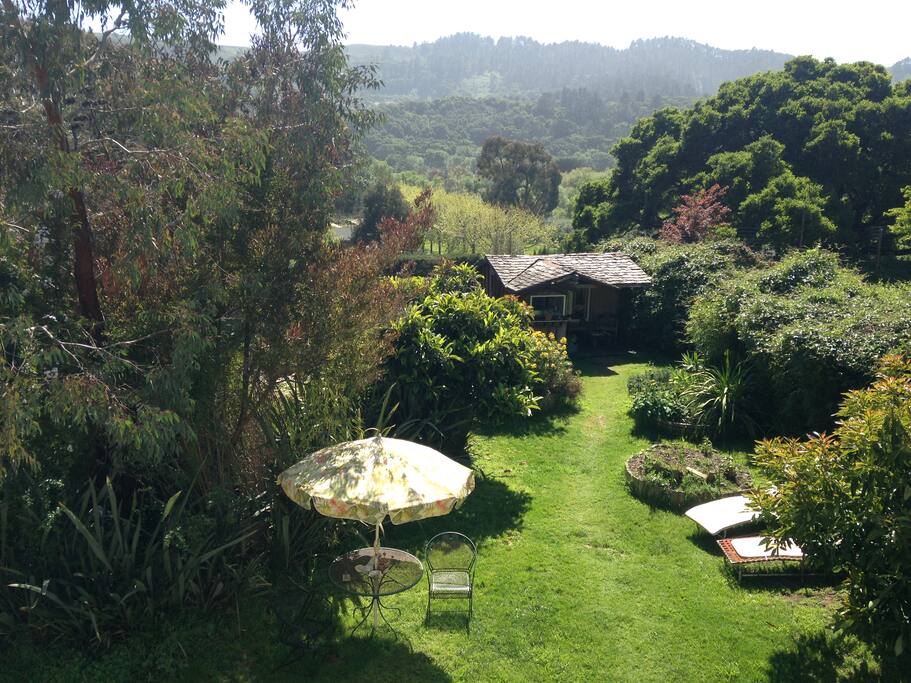 Areal view of the yard, with the Luv Shack at the back of the yard.