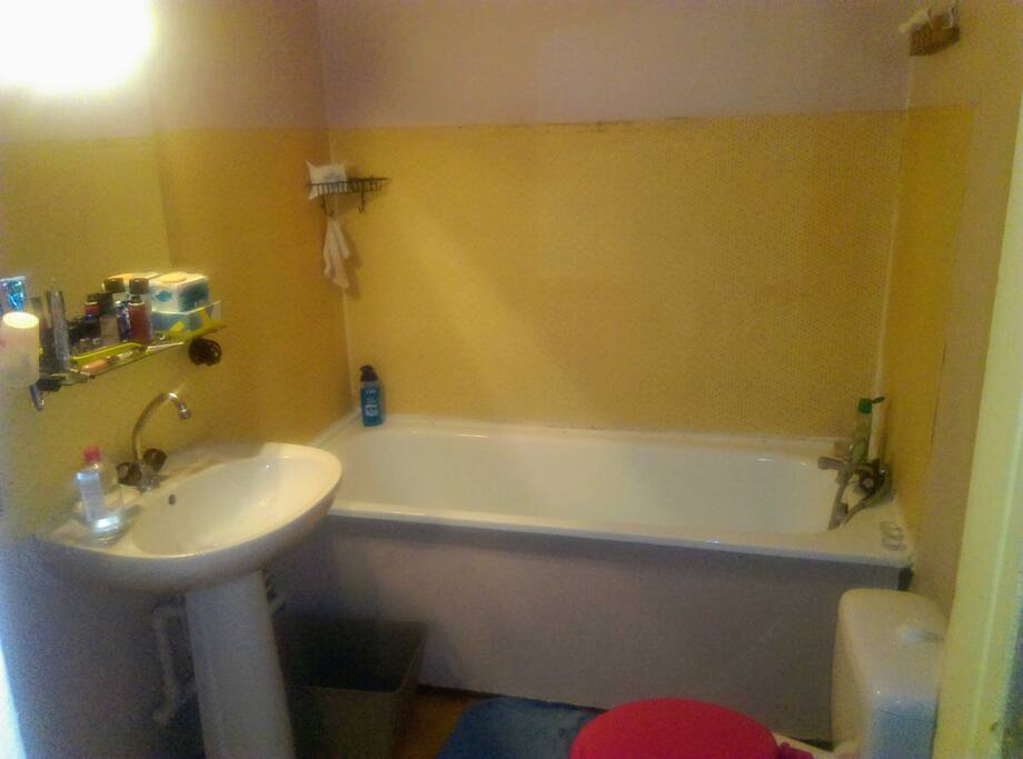 Salle de bain (vasque, baignoire, toilettes)