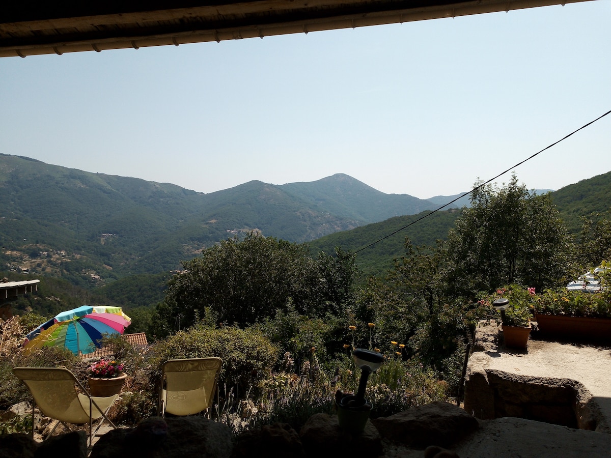 A scenic view of lush mountains is visible, with colorful umbrellas providing shade over outdoor seating. The landscape includes greenery and a variety of potted plants, creating a serene atmosphere. The open space allows for unobstructed views of the surrounding hills.